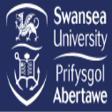 Fully-Funded Swansea and UKAEA PhD Scholarships in AI and Inverse Analysis, for International Students in the UK